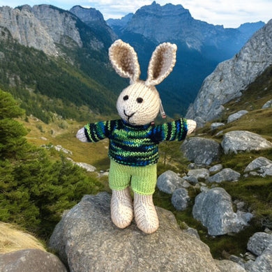 Hand knitted Rabbit - boy