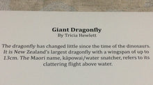 Cards - Giant Dragonfly