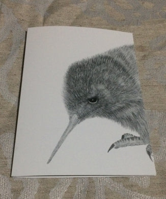 Cards - Curious Kiwi