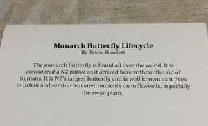 Cards - Monarch Butterfly Lifecycle