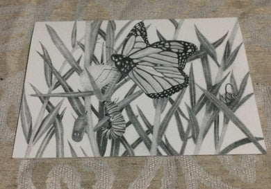 Cards - Monarch Butterfly Lifecycle