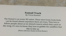 Cards - Fantail Track