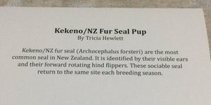 Cards - Kekeno / Nz Fur Seal Pup