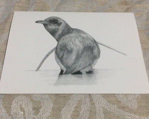 Cards - Little Blue Penguin