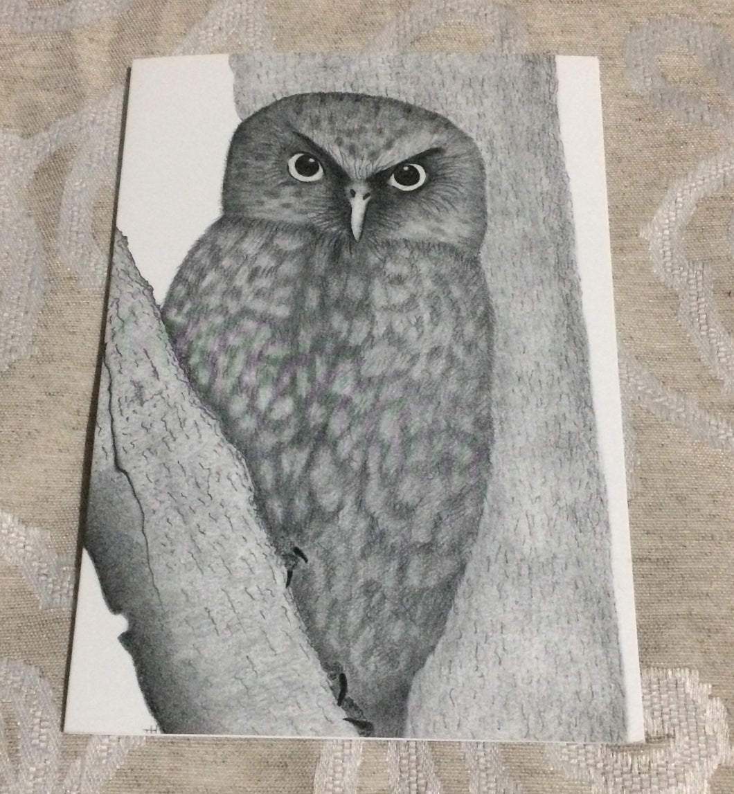 Cards - Morepork Owl / Ruru